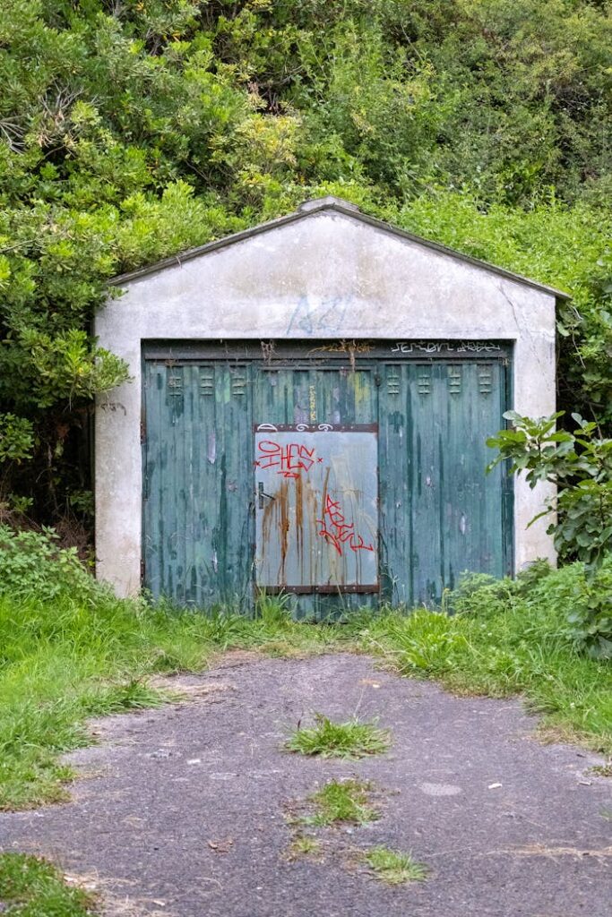 Old garage surrounded by lush greenery and graffiti, capturing urban decay.